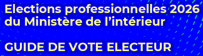 Manuel utilisateur de la SVE-MI - électeurs - Élections professionnelles 2026