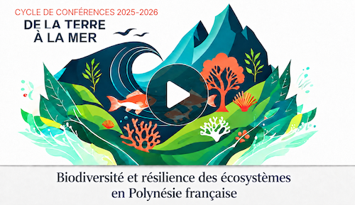Vignette video