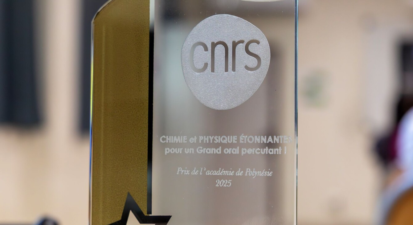  Concours “Physique ou chimie étonnantes” : remise des prix en présence de M. le Vice-recteur