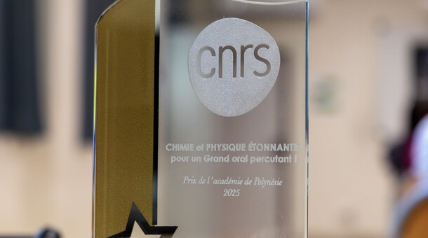  Concours “Physique ou chimie étonnantes” : remise des prix en présence de M. le Vice-recteur