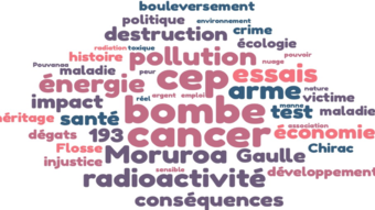 nuage de mots, formation fait nucléaire Paea juin 2021