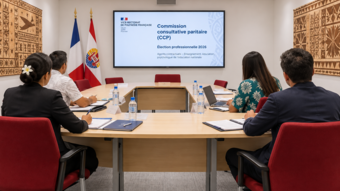 Illustration CCP-Enseignants-CPE-Psy - Elections professionnelles 2026