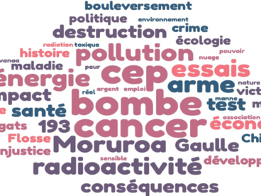 nuage de mots, formation fait nucléaire Paea juin 2021